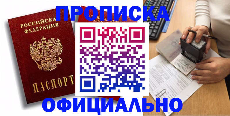 прописка в квартире в Барыше